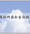 中國商標(biāo)網(wǎng)商標(biāo)查詢指南：注意事項、方法與功能