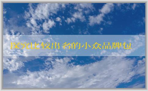 探究比較出名的小眾品牌包包的設(shè)計(jì)特點(diǎn)、質(zhì)量優(yōu)劣及備受追捧的原因