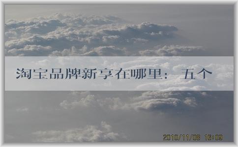 淘寶品牌新享在哪里：五個維度問題、商業(yè)價值、品牌建設(shè)及新品牌介紹